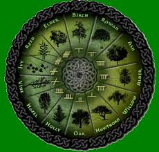 Alberi e astrologia celtica